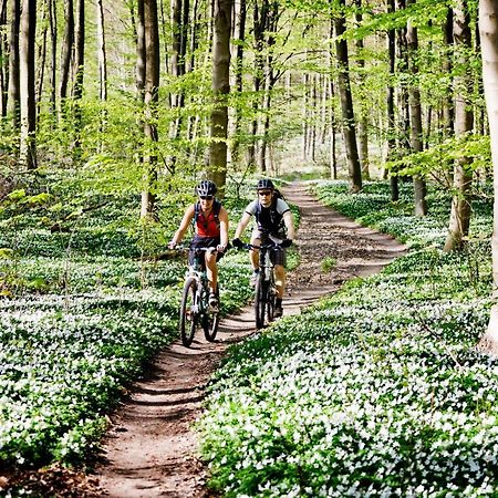 Vakantiehuis In Een Prachtige Bosrijke Omgeving In Twente! Bornerbroek 外观 照片