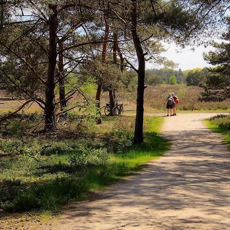 Vakantiehuis In Een Prachtige Bosrijke Omgeving In Twente! Bornerbroek 外观 照片