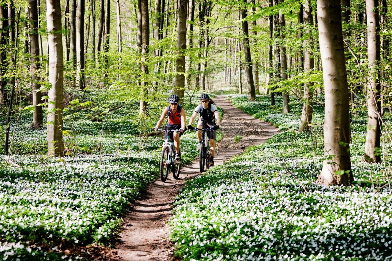 Vakantiehuis In Een Prachtige Bosrijke Omgeving In Twente! Bornerbroek 外观 照片