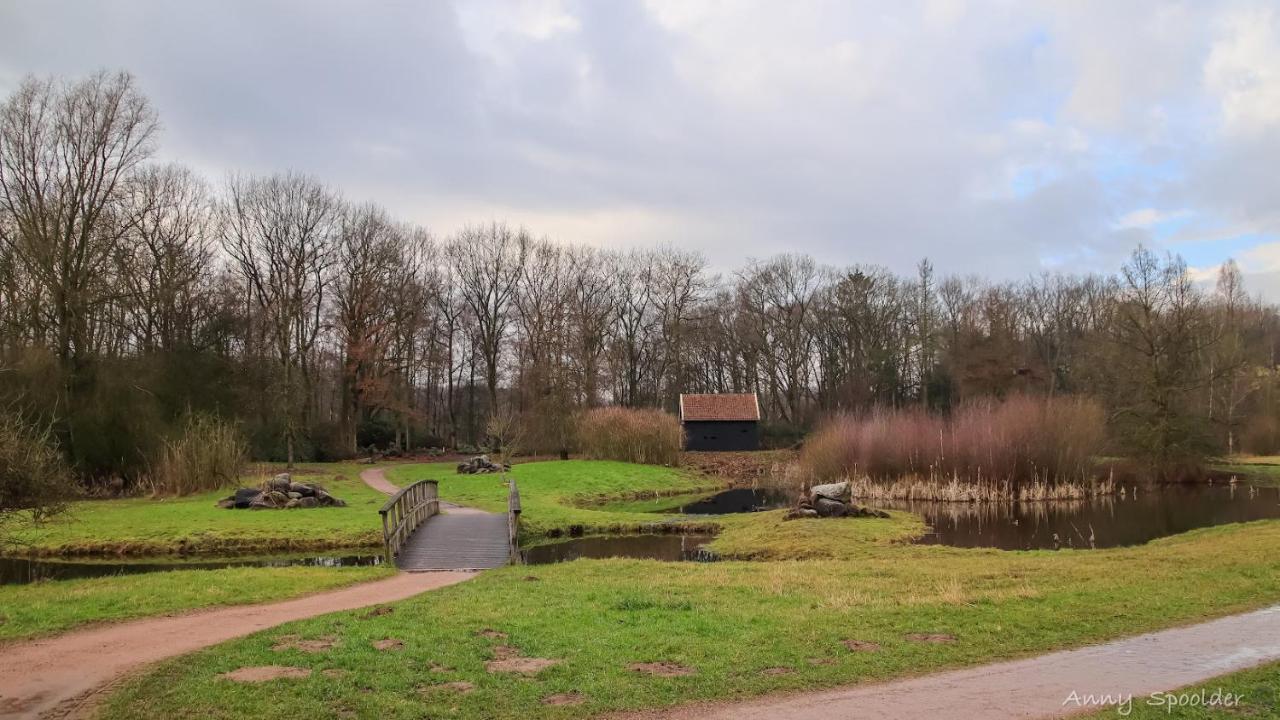 Vakantiehuis In Een Prachtige Bosrijke Omgeving In Twente! Bornerbroek 外观 照片