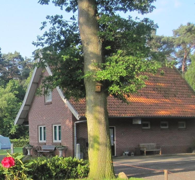 Vakantiehuis In Een Prachtige Bosrijke Omgeving In Twente! Bornerbroek 外观 照片