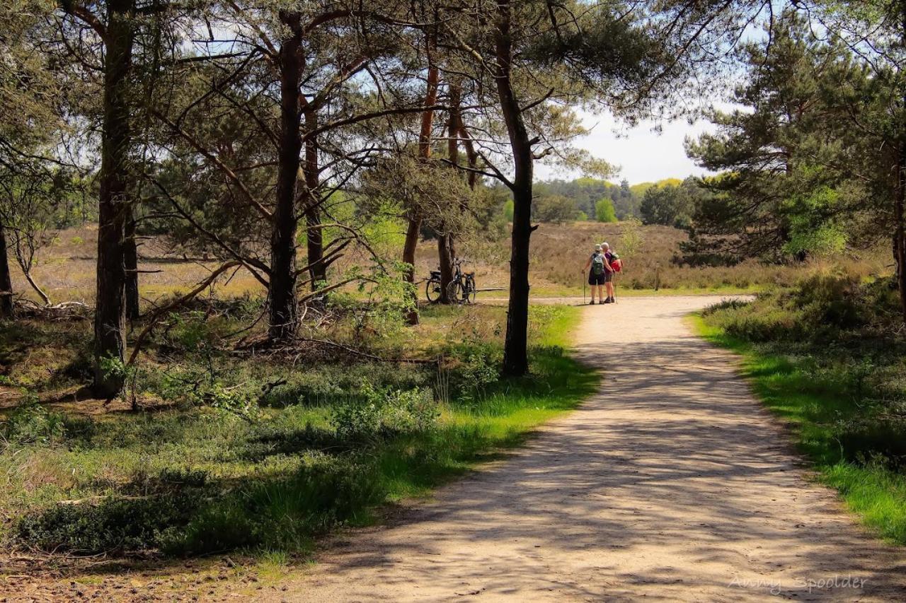 Vakantiehuis In Een Prachtige Bosrijke Omgeving In Twente! Bornerbroek 外观 照片